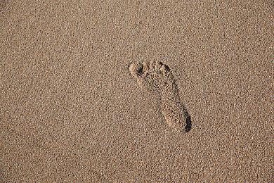 《刺客信条：影》支持武器自定义 5分钟全新实机